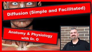 Types of Diffusion Anatomy and Physiology [upl. by Anwahsar]