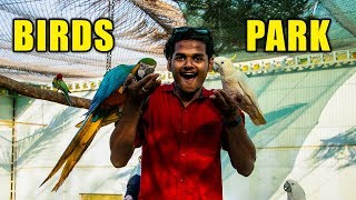 BIRDS PARK IN YELAGIRI  Best Places to visit in yelagiri hills [upl. by Aonehc]