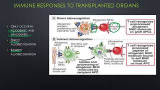 Transplant Immunology [upl. by Engelhart871]