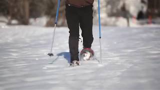 HowtoSnowshoe Learn the basics from the experts  LLBean [upl. by Niwred]