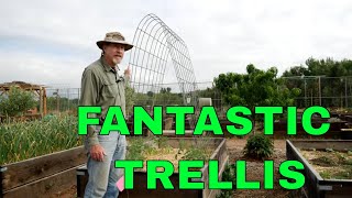 The Best Tomato Trellis [upl. by Venice]