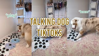 DOG TALKS TO OWNER USING BUTTONS  Talking dog Tiktok compilation [upl. by Janek]