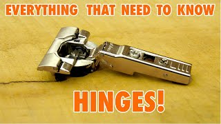 Cabinet Door Hinges  Everything you need to Know [upl. by Ariahay]