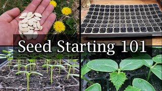 How To Start Vegetable Seeds  The Definitive Guide For Beginners [upl. by Alliuqat]