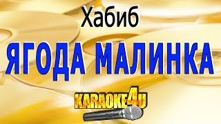 Ягода малинка  Хабиб  Кавер минус [upl. by Itoc]