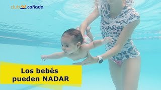 ¡Los BEBÉS pueden NADAR [upl. by Anahsar]