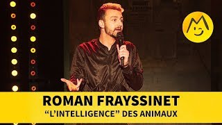 Roman Frayssinet  quotLintelligencequot des animaux [upl. by Auqinu]