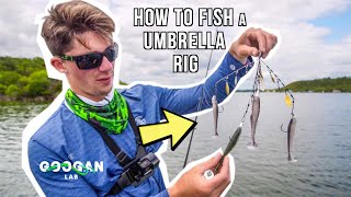 HOW TO FISH A UMBRELLA RIG  Alabama RIG [upl. by Sugihara]