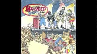 Clandestino  Hayseed Dixie [upl. by Cadman]