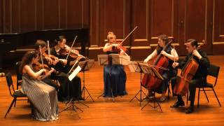 Arnold Schoenberg  Transfigured Night for String Sextet Op 4 [upl. by Wheaton]