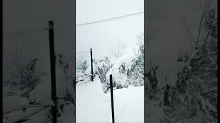 Snowfall in chamba [upl. by Erapsag]