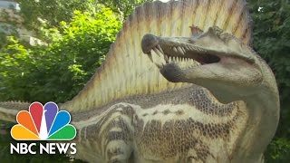 Spinosaurus Bigger And Badder Than TRex  NBC News [upl. by Elyssa]