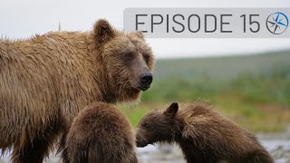 Up Close with Katmai National Park Bears  Adventures in Homer amp Seward Alaska  Go North Ep 15 [upl. by Zoubek]