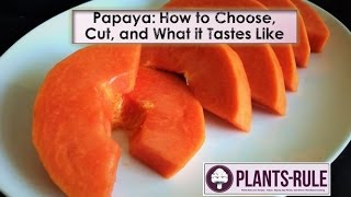 Papaya How to Choose Cut and Enjoy from PlantsRule [upl. by Calabresi]