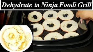 Ninja Foodi Grill Dehydrate Function [upl. by Toffic]