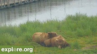 Top 10 BearCam Moments from Katmai National Park [upl. by Airdnahc783]