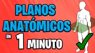 ✅ PLANOS ANATÓMICOS en 1 MINUTO 😱 [upl. by Lletram]