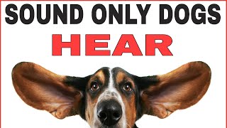 Sound Only Dogs Can Hear And Love [upl. by Bellaude]