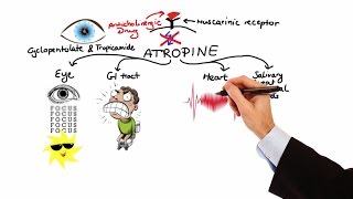 Pharmacology  ANTICHOLINERGIC amp NEUROMUSCULAR BLOCKING AGENTS MADE EASY [upl. by Lirba]