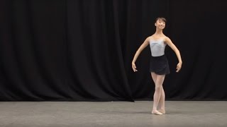 Insight Ballet Glossary  Petit allegro [upl. by Nemzaj]