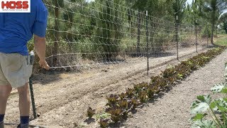 THE EASIEST WAY TO TRELLIS CUCUMBERS POLE BEANS AND MORE [upl. by Means213]