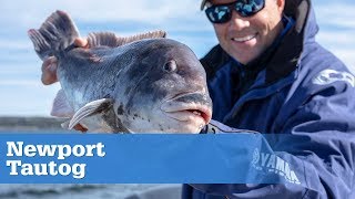 Fishing for Big Tog off Newport Rhode Island  S16 E7 [upl. by Nehttam]