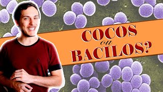 Formato das bactérias Microbiologia [upl. by Barnett344]