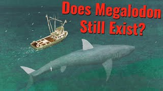 Does Megalodon Still Exist [upl. by Malone]