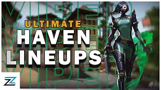 Ultimate Viper Haven Post Plant Setup Guide  Viper Setups [upl. by Einhapets]