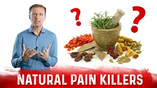 The 6 Best Natural Pain Killers Dr Berg Recommendation [upl. by Basile8]