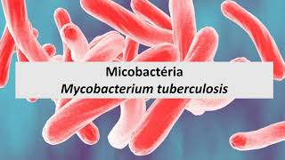 Microbiologia Médica Mycobacterium tuberculosis [upl. by Yentruoc]