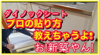 流し扉にダイノックシートを貼る😀完全攻略👌下処理から貼り方までプロが詳しく解説します✴️簡単DIY [upl. by Nedyaj]