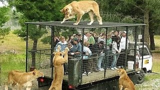 10 MOST STUNNING ZOOS IN THE WORLD [upl. by Ecirtnom]