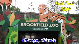 Brookfield Zoo Full Tour  Chicago Illinois [upl. by Yleve]