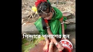 পিন্দারে পলাশের বন  Pindare polaser bon dance cover [upl. by Lea13]