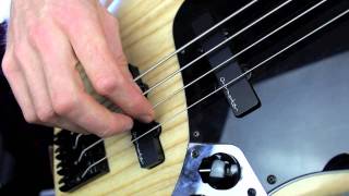 Right hand technique for Bass Raking amp Alternate plucking  L37 [upl. by Husain]