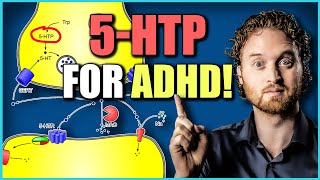 5 HTP Benefits For ADHD Very Interesting Study [upl. by Nirra207]