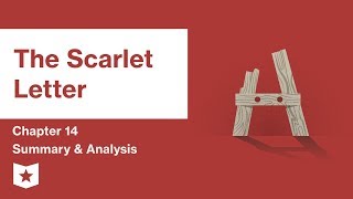 The Scarlet Letter  Chapter 14 Summary and Analysis  Nathaniel Hawthorne [upl. by Tobias]