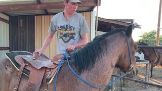 Horse Training  First Ride First Mount [upl. by Filomena466]