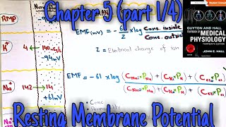 Resting membrane potential  chapter 5 part 14  Guyton and hall text book of medical physiology [upl. by Ygiaf]