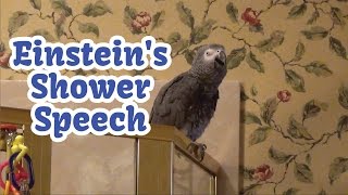 Einsteins Shower Speech  Talking Singing amp Dancing [upl. by Ivar]