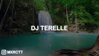 Reggae on The Rocks  Dj Terelle [upl. by Leihcey]