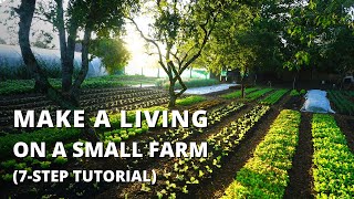 How to Start a Farm From Scratch Beginners Guide to Growing Vegetables for Profit [upl. by Nere]