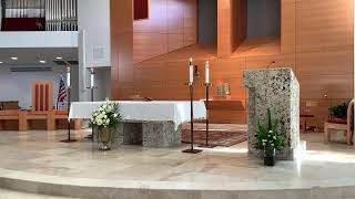 St Thomas More Catholic Church 10 am Mass 11324 All are Welcome [upl. by Leaw]