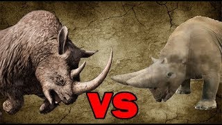 Woolly Rhinoceros vs Arsinoitherium  SPORE [upl. by Jaddo]