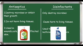 Antiseptic Vs Disinfectant differences English [upl. by Emmeline554]