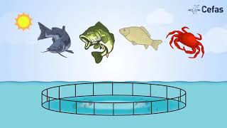 Sustainable aquaculture [upl. by Tallie]