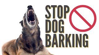 How To Quickly Stop Dog Barking [upl. by Atteval]