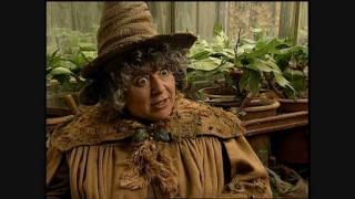 Harry Potter and the Chamber of Secrets  Miriam Margolyes short interview [upl. by Leake]