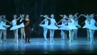 Ballet El Lago de los cisnesmp4 [upl. by Eoz513]